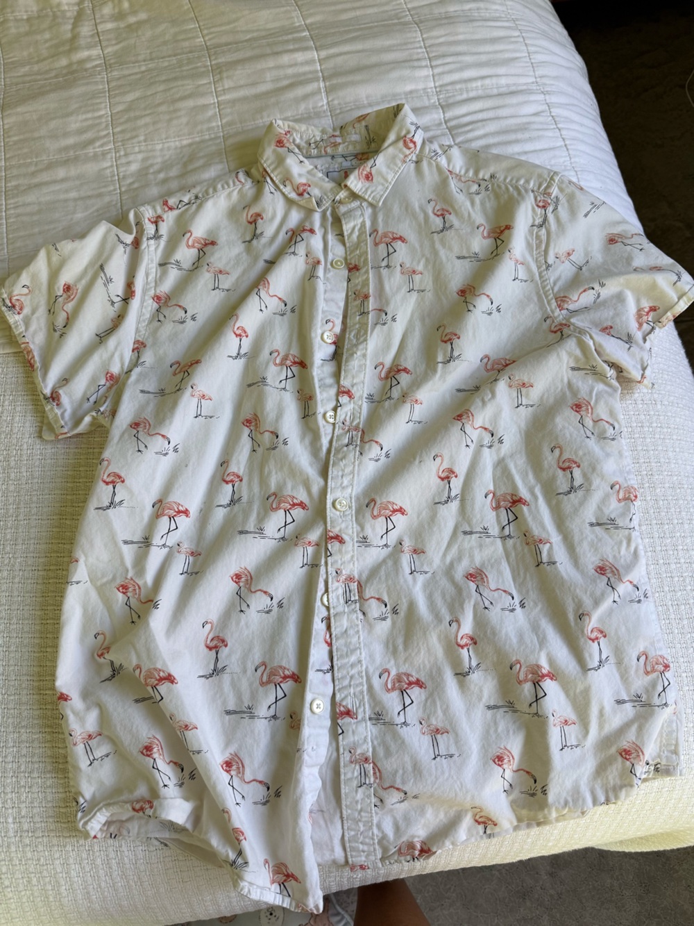Cactus White Button-Down Shirt with Pink Flamingo Print